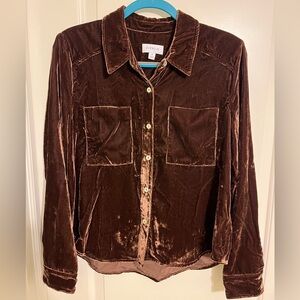 Evereve Nora Velvet top